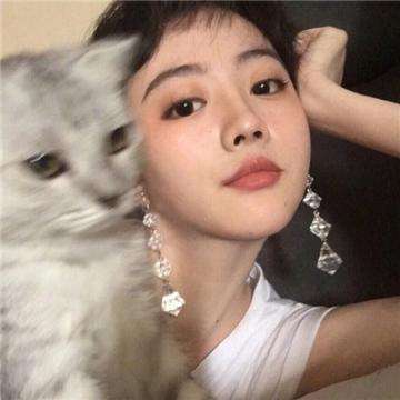 骰子之王日文版游戏下载